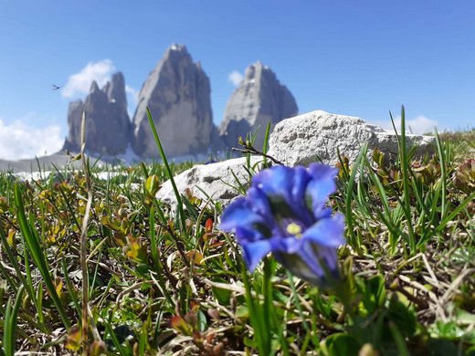 Ihre Unterkunft in Sexten Ihre Unterkunft in Sexten